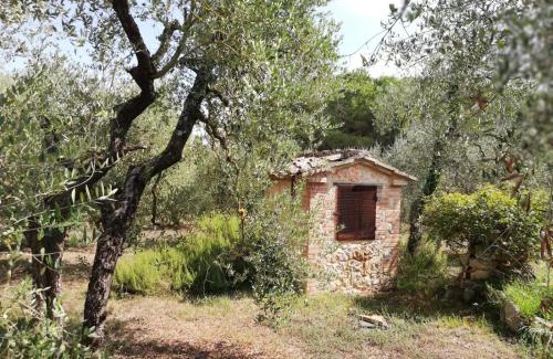 Colle di Val d'Elsa Apartment | Nel Chianti lungo la Francigena
