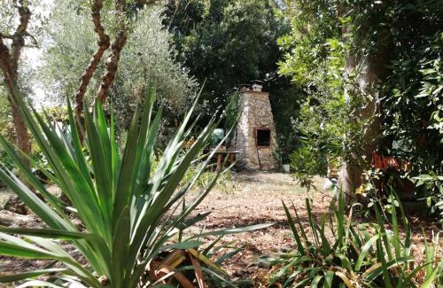 Colle di Val d'Elsa Apartment | Nel Chianti lungo la Francigena