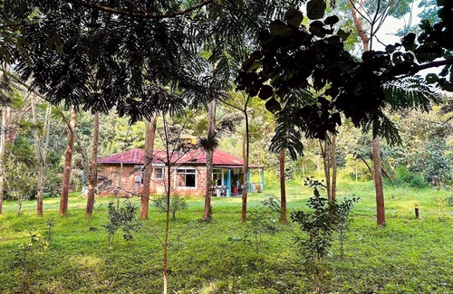Kushalnagar House | Nephila Farm | CB4 | Quiet | Remote | Nature Haven