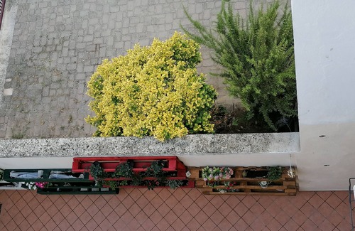 San Damiano dʼAsti Apartment | Nest of Love