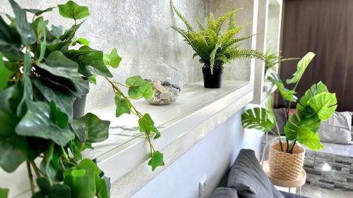 Haifa Apartment | Nest on the beach Resort Apart