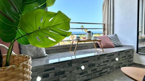 Haifa Apartment | Nest on the beach Resort Apart