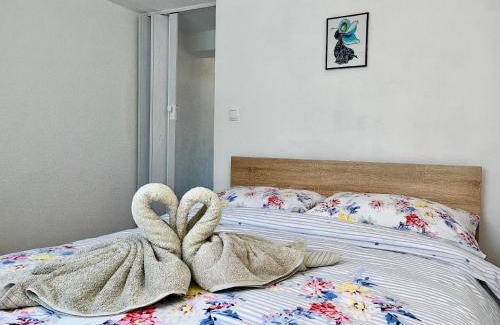 Gornji Karin Apartment | Neugebaute Wohnung Im Erdgeschoss