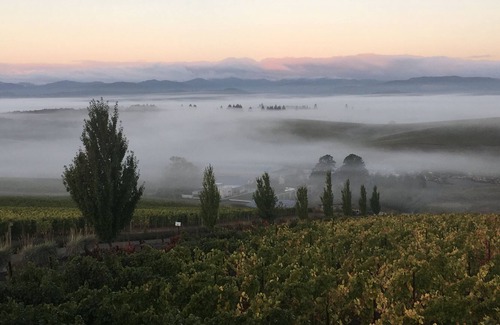 Yamhill Apartment | New Listing. Beautiful apartment in the middle of a Willamette Valley vineyard!
