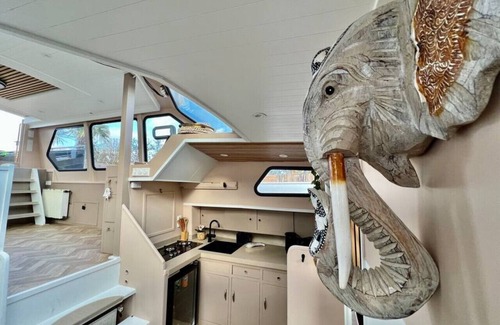 Baambrugse Zuwe Boat Rental | NEW - Little Ibiza - on a Lake near Amsterdam