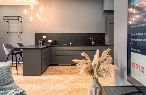 Innenstadt Apartment | NEW Luxus Suite TWO Kingbeds Netflix Center