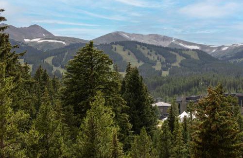 Peak 9 Apartment | NEW! Marriott Slope View Ski in Ski out Luxury Studio Sleeps 4 Full kitchen, Amenities & Fee Parking