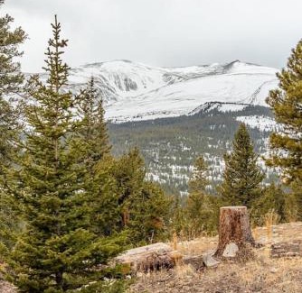 Valley of the Sun House | NEW RENTAL - Cozy Cabin with Stunning Views - Crimson Cabin