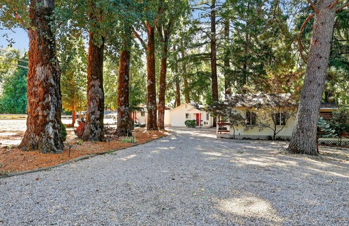 Cobb Apartment | NEW! Rouge Cobb Mountain Hotel - Cabin 3