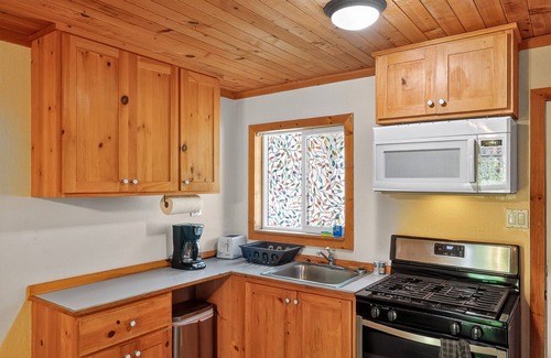 Cobb Apartment | NEW! Rouge Cobb Mountain Hotel - Cabin 1
