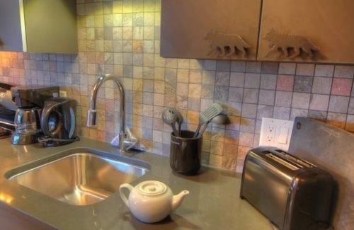 Banff Condo | NEW + Unique Wolf Condo | Hot Tub Access