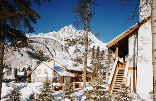 Banff Condo | NEW + Unique Wolf Condo | Hot Tub Access