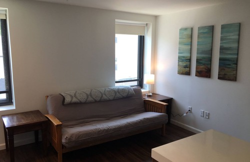 Central Village Apartment | Newly furnished 1 bed, 1 bath. Views of the whole city!