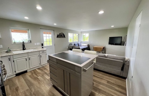 Snowmass Village Apartment | Newly remodeled apartment 1 mile from Base Village. nAvailable long term!