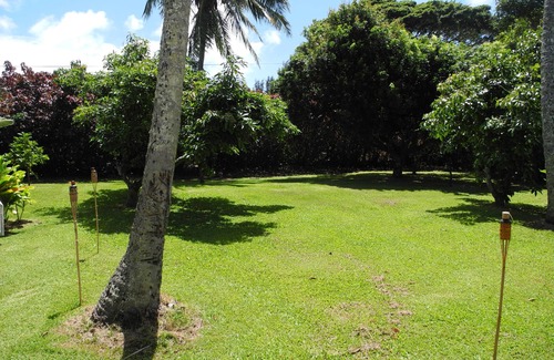 Kapaau House | Newly renovated piece of paradise. Experience Old Hawaii at its best.