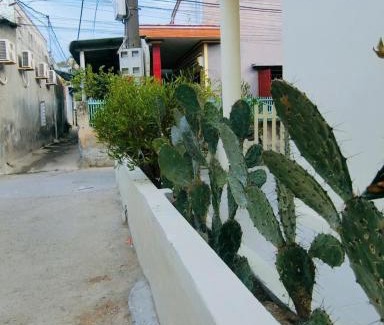 Kon Plong Hotel | Nhà Gỗ Homestay