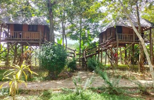 Nam Cat Tien Cabin | Nhà nghỉ độc lạ bờ sông Nam Cát Tiên