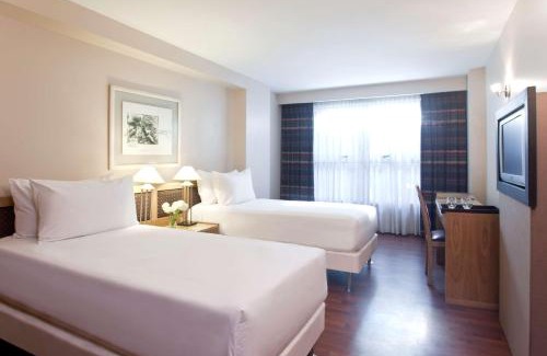 Cordoba Hotel | NH Córdoba Urbano