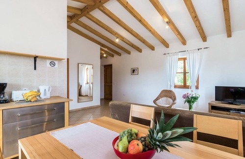 Stifanici Apartment | Nice apartment for 4 guests with pool, WIFI, A/C, TV, terrace and pets allowed