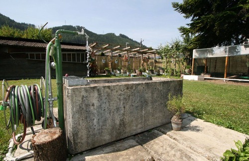 Hoetting Apartment | Nice apartment for 4 people with TV, terrace and pets allowed