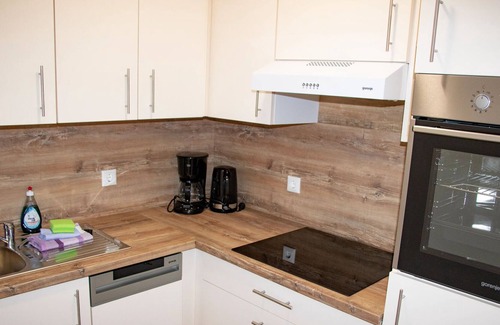 Breitenbrunn/Erzgeb. Apartment | Nice apartment in Breitenbrunn with sauna