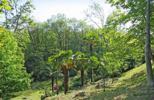 Leggiuno House | Nice apartment in villa for 6 people with TV, terrace and pets allowed