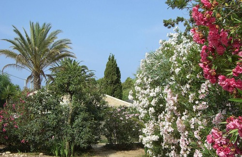 Marina di Modica House | Nice centrally located bungalow directly on the sandy beach