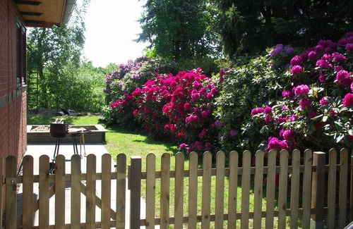 Sehestedt House | nice house - few minutes to the beach