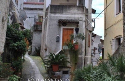 San Nicola Arcella House | Nice one bedroom apartment with garden San Nicola Arcella Orchidea