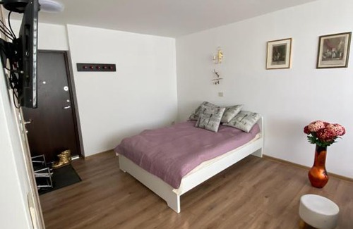 Kaunas Apartment | Nice place to stay close to city