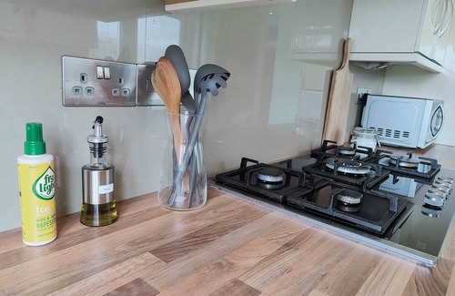 Selhurst House | Nice property - close to Selhurst, East Croydon and West Croydon stations!