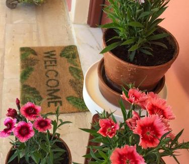 Ag. Georgios Apartment | Nikodimos Garden Studios