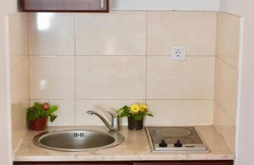 Velji Vinogradi Apartment | NIR Apartments Budva