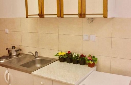 Velji Vinogradi Apartment | NIR Apartments Budva