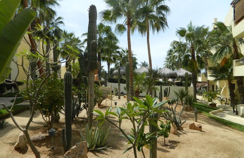 Downtown San Jose del Cabo Condo | nnn Club La Costa Hotel Zone Beautiful 1 Bedroom Condo Across From The Beach