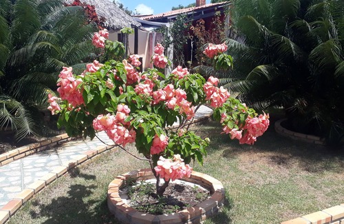Beberibe House | Nova Chácara Ouro Verde