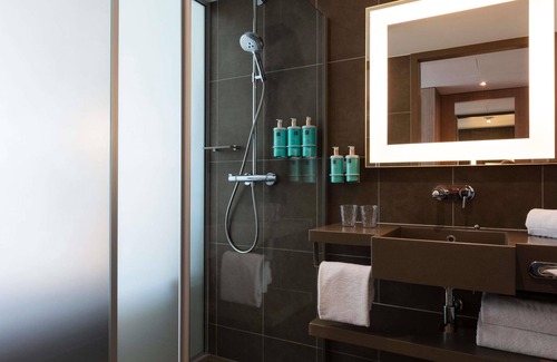 Saint-Denis Hotel | Novotel Paris Saint Denis Stade Basilique