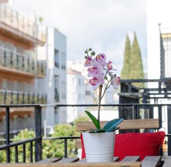 Tossa de Mar Apartment | NS Apartaments