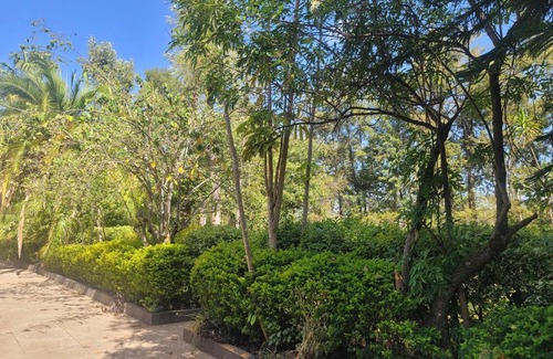Nanyuki House | Nyumbani