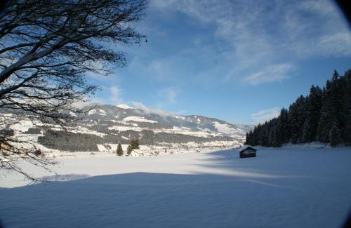 Hollersbach im Pinzgau Apartment | Oase der Ruhe