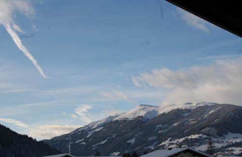 Hollersbach im Pinzgau Apartment | Oase der Ruhe