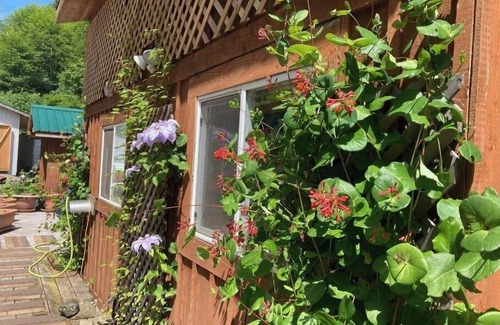 Quatsino Cabin | Ocean Front wilderness Cabin, brand new - Spa bathroom, fully equipped Kitchen