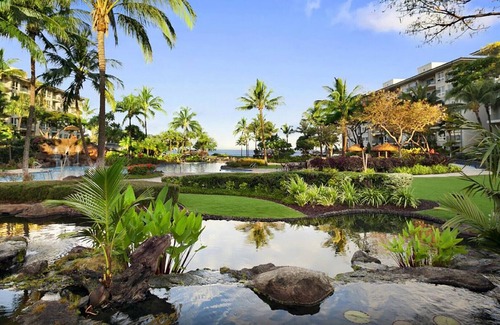 Kaanapali Resort | Ocean View - 1 Bedroom - Westin Kaanapali Ocean Resort Villas North - Full Resort Access