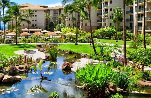 Kaanapali Resort | Ocean View - 1 Bedroom - Westin Kaanapali Ocean Resort Villas North - Full Resort Access