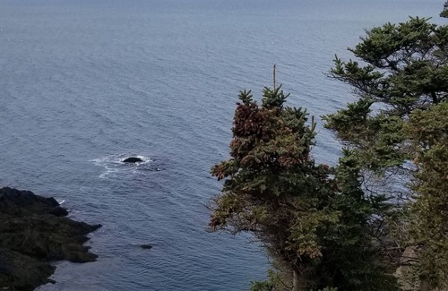 Meteghan Cottage | Oceanfront mini home, two decks, with spectacular views.