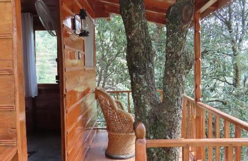 Kaul House | Odyssey Stays Mukteshwar - 300 Metres Trek