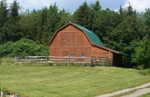 Middlebury Center Cabin | OFF THE BEATEN PATH BEAUTIFUL PRIVATE CABIN WIFI WELLSBORO OCTOBER FOLIAGE PETS