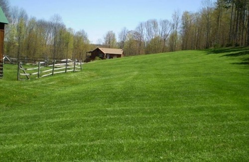 Middlebury Center Cabin | OFF THE BEATEN PATH BEAUTIFUL PRIVATE CABIN WIFI WELLSBORO OCTOBER FOLIAGE PETS