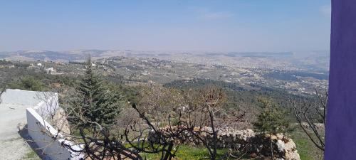 Suwailih Apartment | Offgrid Jerash-Ajlune MountainView Studio Shalea شاليه استوديو جبال جرش