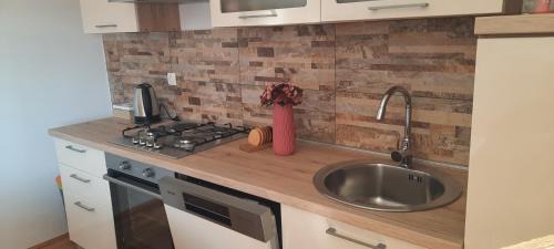 Gospic Apartment | Old bridge